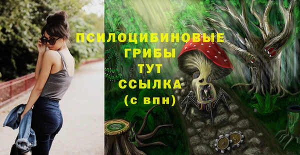 наркотики Медвежьегорск