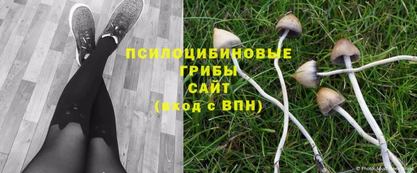 наркотики Медвежьегорск
