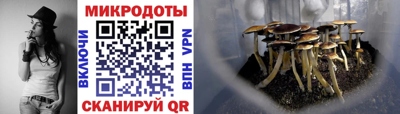 Купить где  Набережные Челны  Псилоцибиновые грибы Psilocybine cubensis 